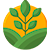 Limpeza de terrenos